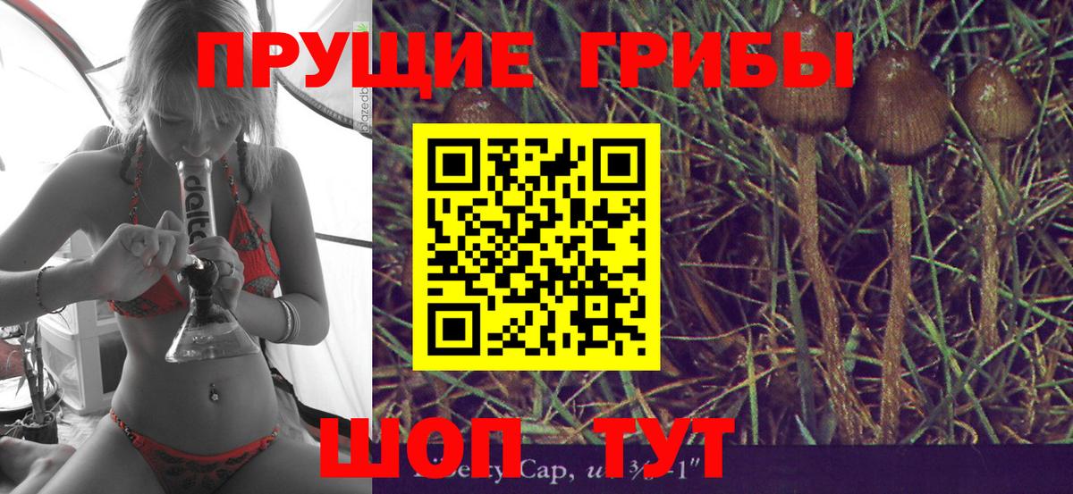 Галлюциногенные грибы GOLDEN TEACHER Красноуфимск